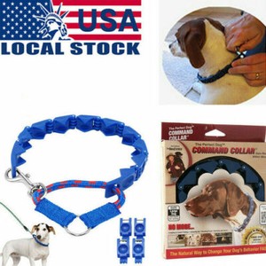 perfect dog training collar