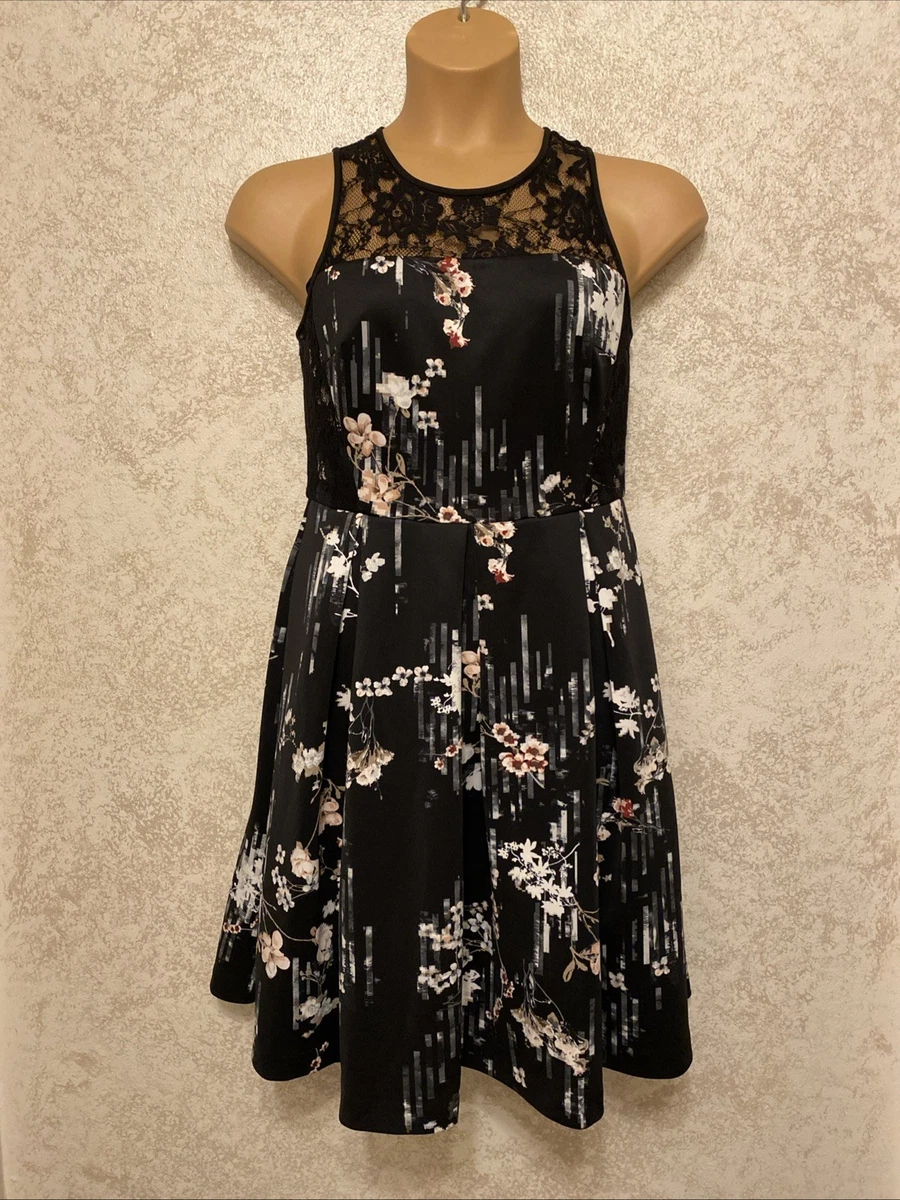 white house black market sale dresses for Women for Blue Lace Embroidered A-line just add a jacket Hott In Stock Complete the Look:The Birthday Duo ( Dress + Ellie Party Hat )