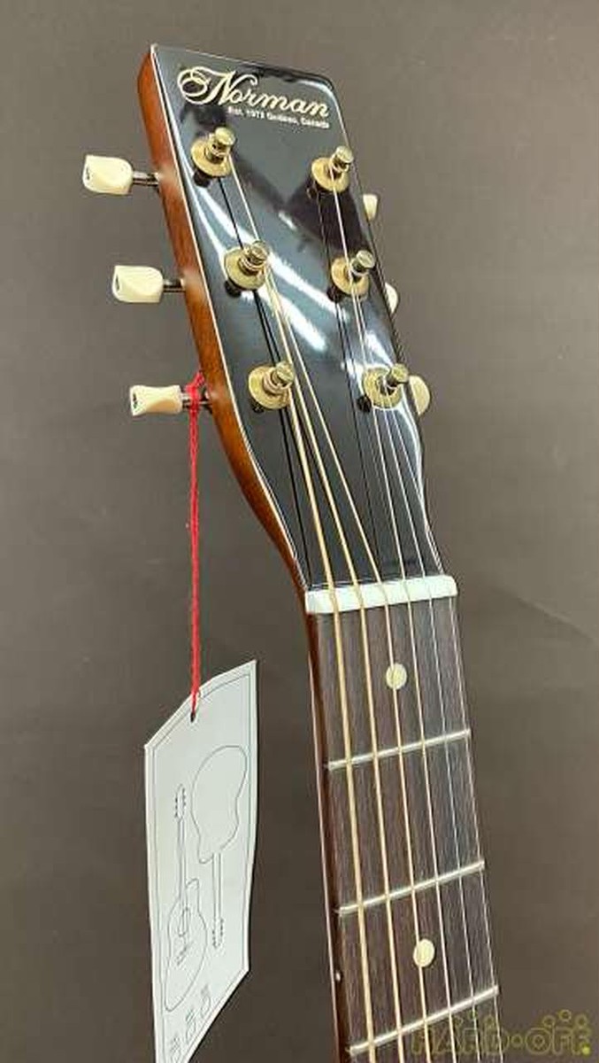 Norman B20 Natural Gt Qit W/Bag Eco | eBay
