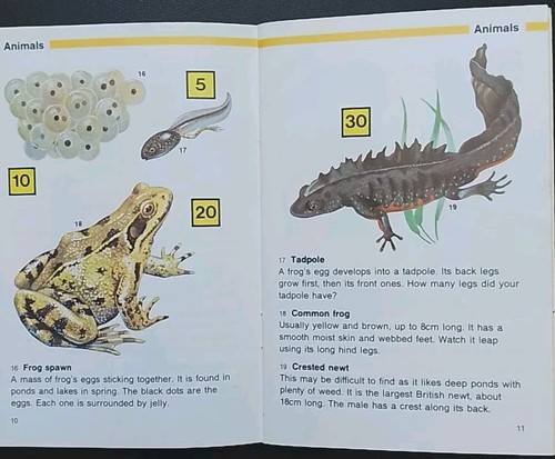 Find 50 By Rivers and Ponds • Hamlyn Paperback • (1st Edition 1983). - Picture 9 of 20