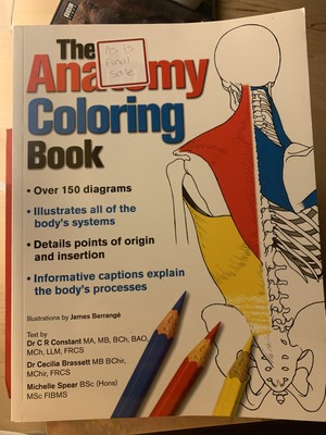 Download Human Anatomy Coloring Book Ebay