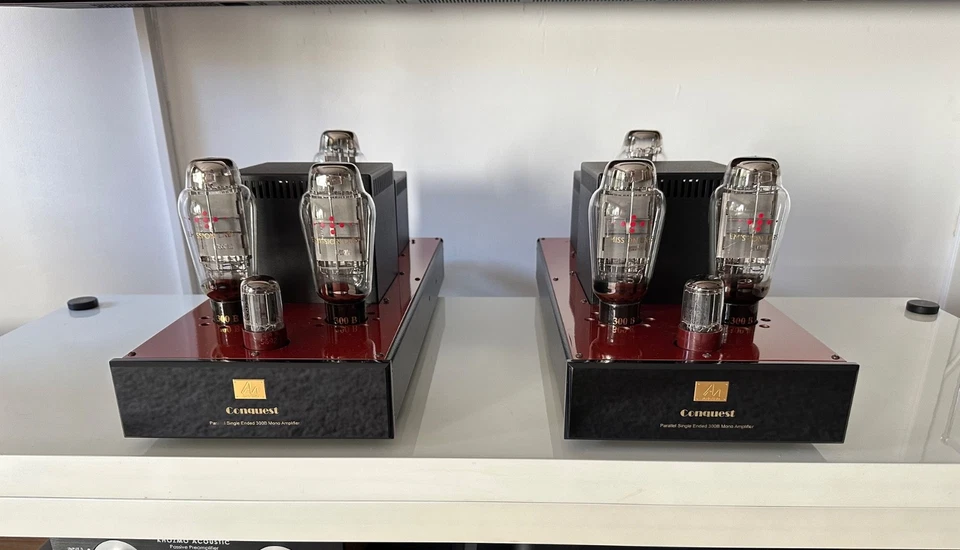 Audio Note Conquest 300B-Monoblock/Röhrenendverstärker mit Emission Labs und NOS - Bild 4 von 4