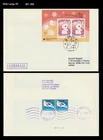 New Year's Greeting,Zodiac,Year of Rabbit,Korea 2010 FDC,Cover to Japan