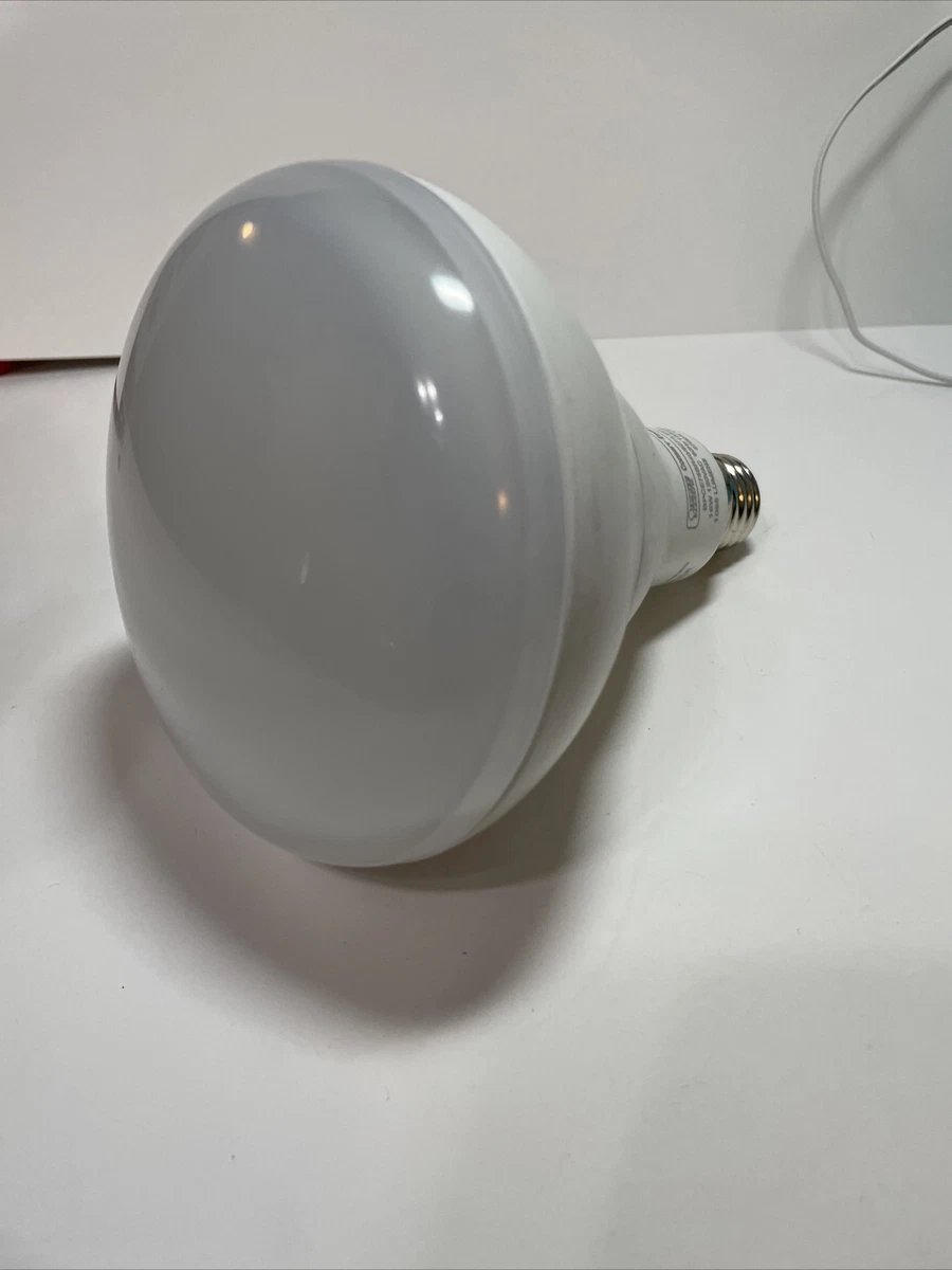 EcoSmart 75 Watt BR40 Dimmable LED Bulb Daylight eBay