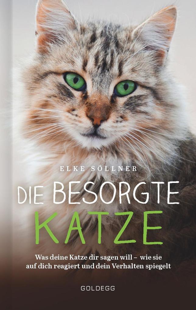 Die Besorgte Katze. Was Ihre Katze Ihnen Sagen Möchte. Warum Schnurren