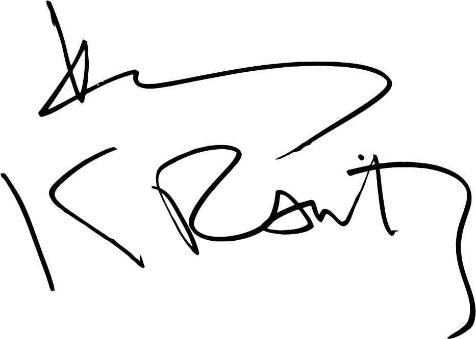 Lenny Kravitz signature VINYL DECAL sticker, autograph, guitar