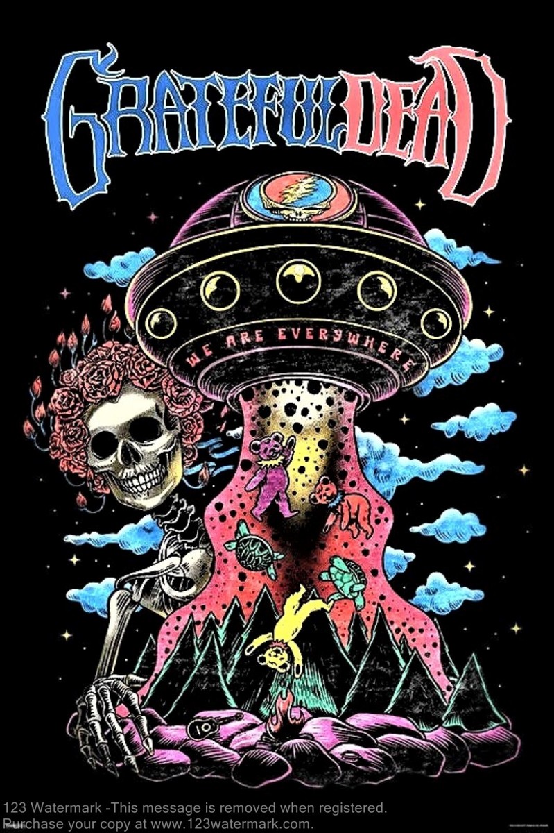 Grateful Dead Concert Poster - 12