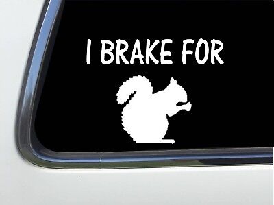 MY CHIWEENIE IS MY COPILOT 6/" AS1381 car sticker decal ThatLilCabin