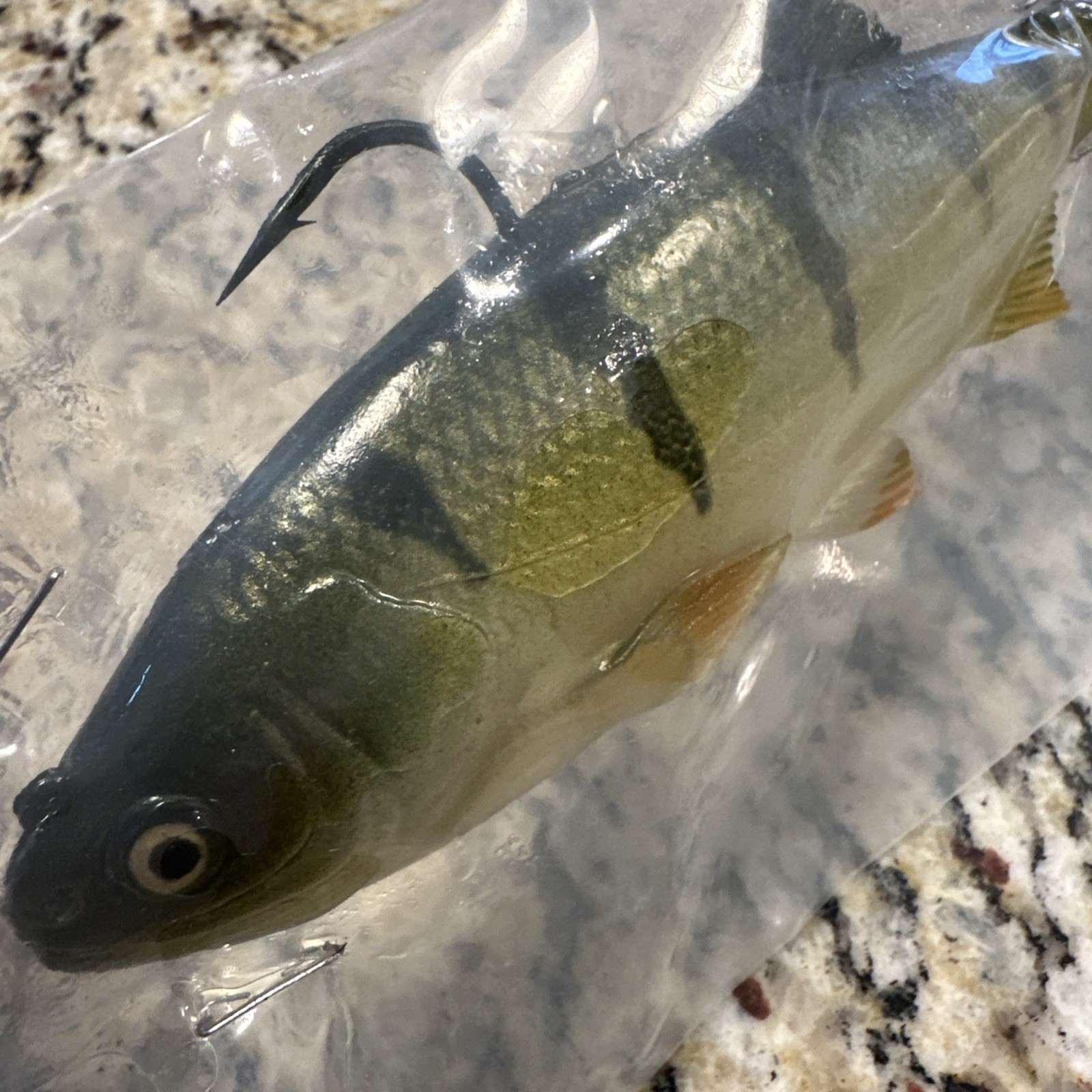 Hawg Hunter Swimbaits 7” Top hook Trout In Perch Pattern - Image 2