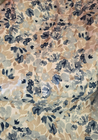 Bild 109 von 115