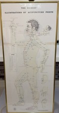 Vintage The Newest ILLustration Of Acupuncture Points #3 33.5 By 15.5