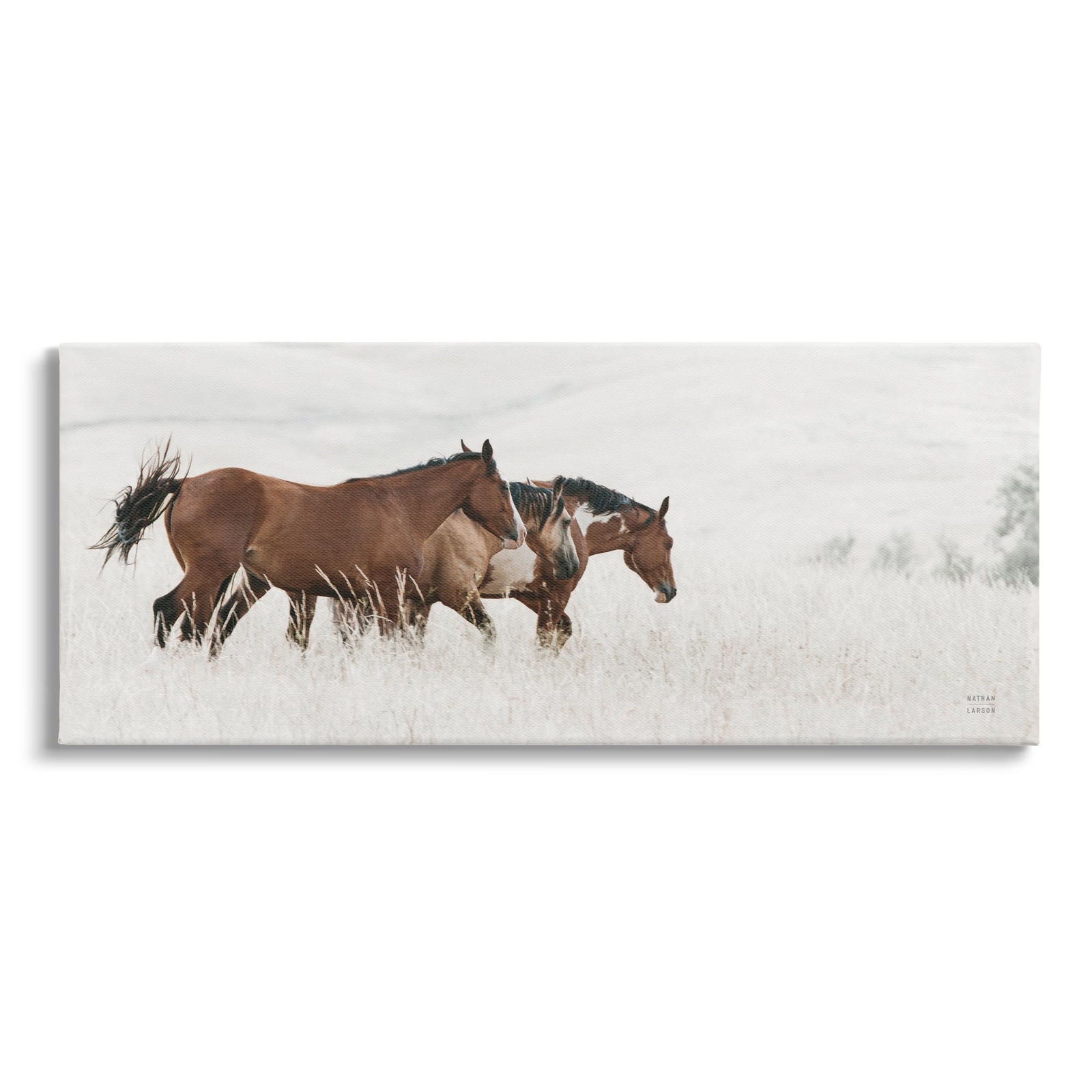 Trotting Horses Landscape Canvas Wall Art Design by Nathan Larson