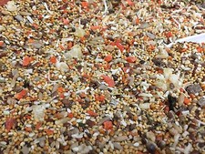 Higgins Sunburst Fruits and vegetable small birds Treats canary finch tiel diet