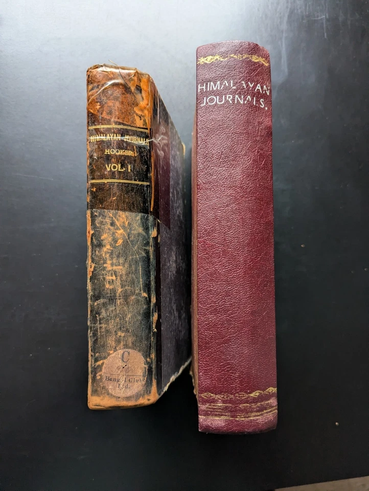 Himalayan Journals 1854 1st Ed 2 Vols Bengal Khasi Mountains Exploration Travel - Image 2 of 4