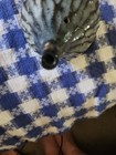 Pottery/ceramic Water Dropper  With Ridged texture.  Lovely Shape And Color — photo 6