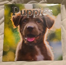 2026 Puppies 12-Month Wall Calendar - 12" x 12"