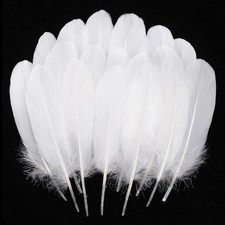 Ballinger Natural White Goose Feathers - 120Pcs 6-8 Inch Bulk Feathers for Craft