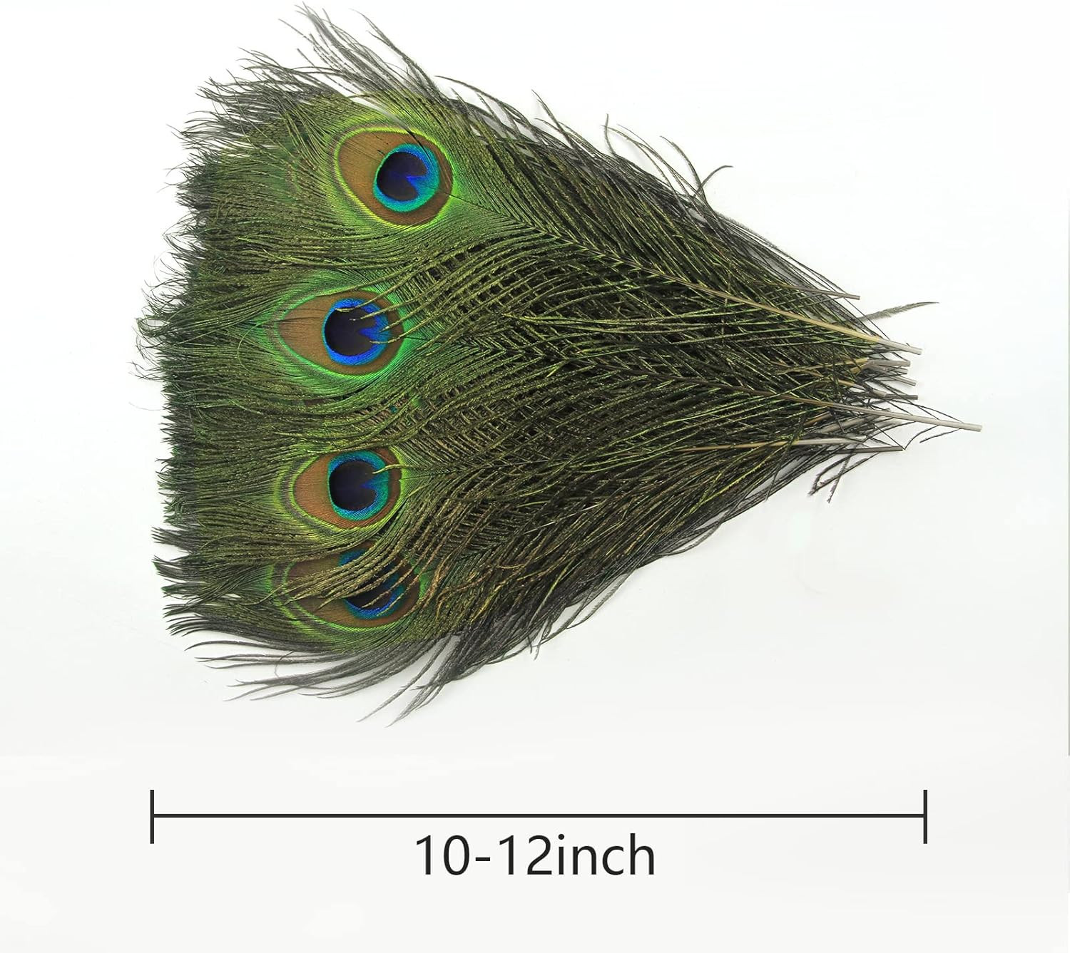 12Pcs Peacock Feather Natural in Bulk 10-12 Inch 25-30Cm for Craft Vase Wedding