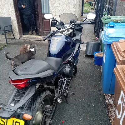 yamaha xj600 diversion Bike - Image 1 of 4
