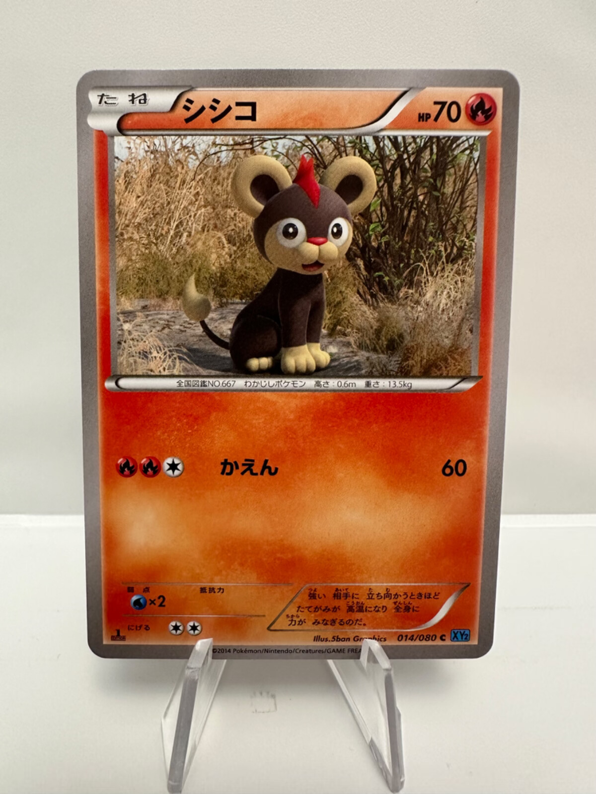 Litleo 014/080 - Wild Blaze - Pokémon TCG - Japanese - NM - 1st Edition