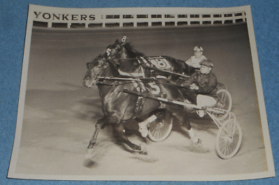 Vintage Harness Racing Press Photo Horse ''Thornhill'' Harry Harvey Yonkers NY