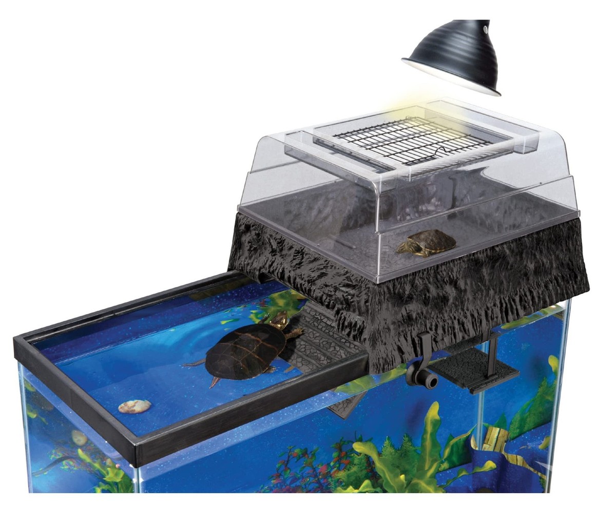 Yopeissn 2 X Gazon Schildpad Koesteren Platform Rust Platform Simulatie Gras Helling Voor Tank Reptiel L 1991523833 Yopeissn 2 X Gazon Schildpad Koesteren Platform Rust Platform Simulatie Gras Helling Voor Tank Reptiel L 1991523833