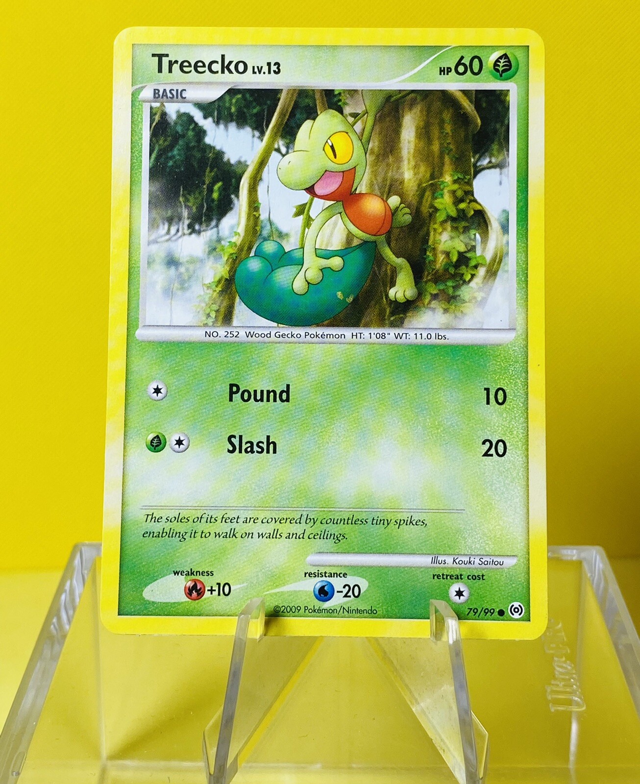 Treecko 79/99 | Platinum - Arceus | Common | Pokemon NM