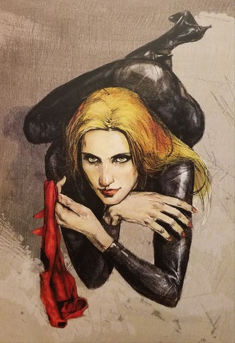 Black Widow by Alex Maleev 11x16 Art Print Poster Marvel Comics MCU | eBay