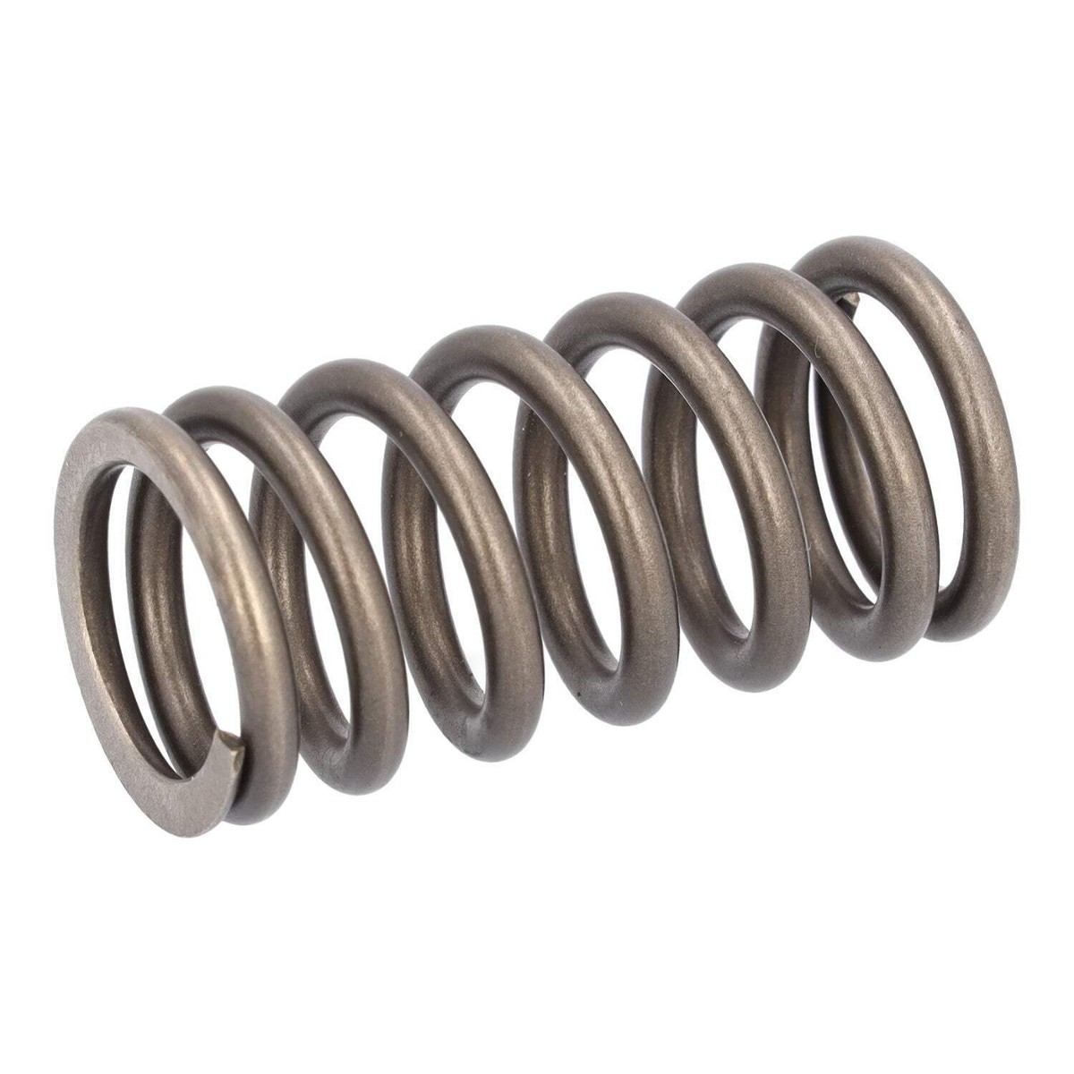 Valve Spring Fits Iveco Stralis Trakker OE 504110995 Febi