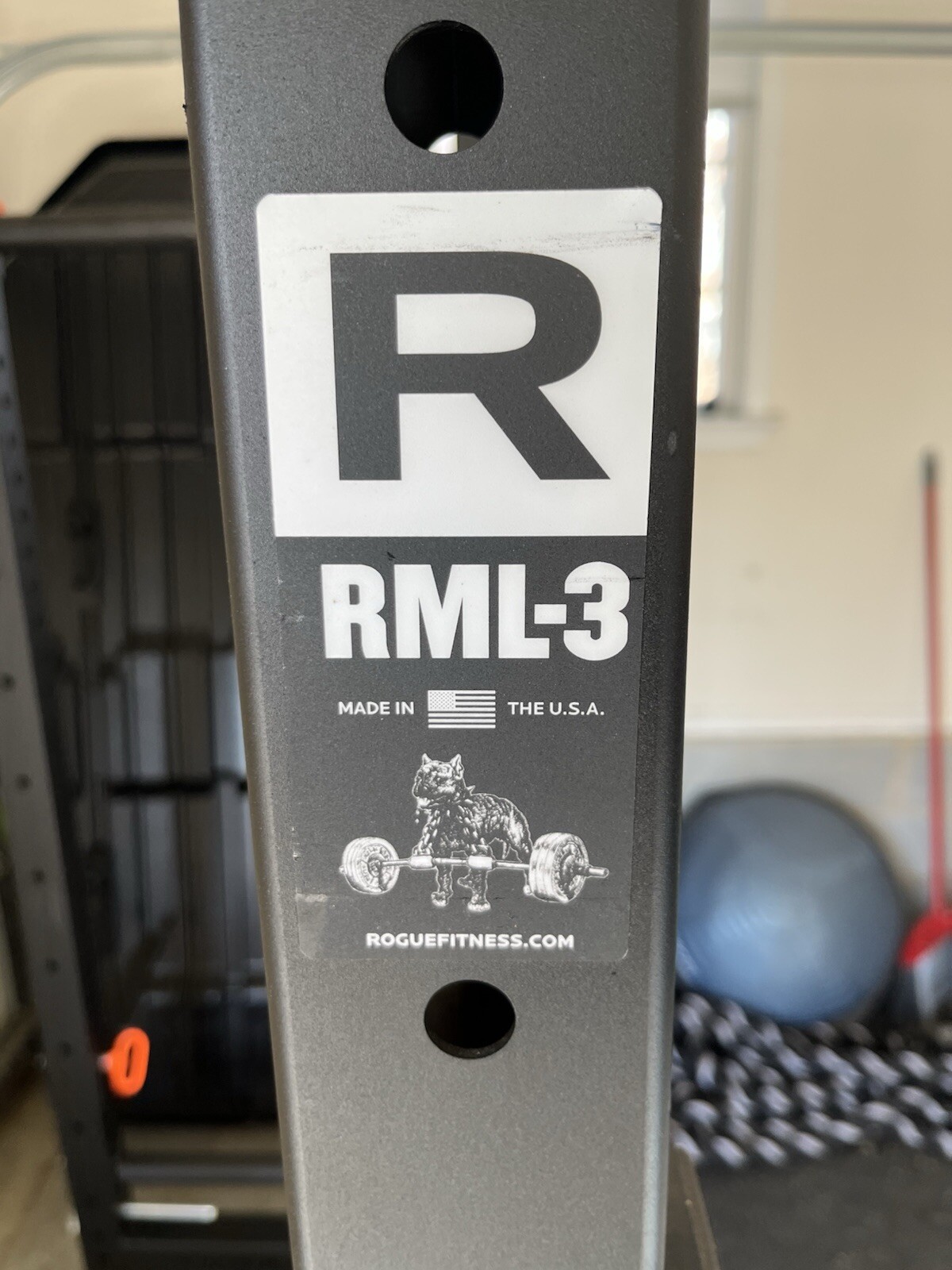 Rogue Monster Lite 3, Rogue 20kg Ohio bar, dip accessory, Go