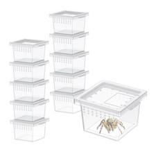 Pawfly 10 Pcs Mini Spider Terrarium Breeding Box, Transparent 10PCS, Acrylic