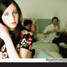 Not in a Million Lovers von Beangrowers von not speci... | CD | Zustand sehr gut