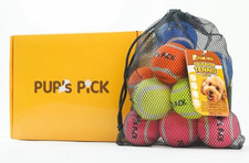 Squeaky Tennis Balls - 2.5" Fun Dog Balls for Fetch, 12-Pack in Bright Colors Y
