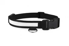 Rechargeable LED Dog Collar – Waterproof, Adjustable, Reflective, White Size L 