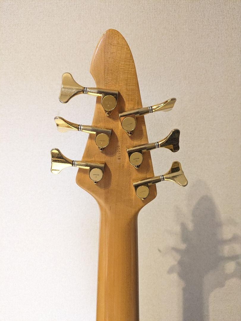 Aria Pro Ⅱ AVB Steve Bailey 6 Strings Electric Bass Guitar