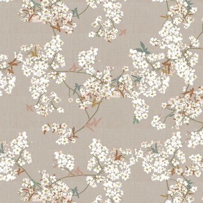 Skye Sakura in Sprout | Soar | Art Gallery