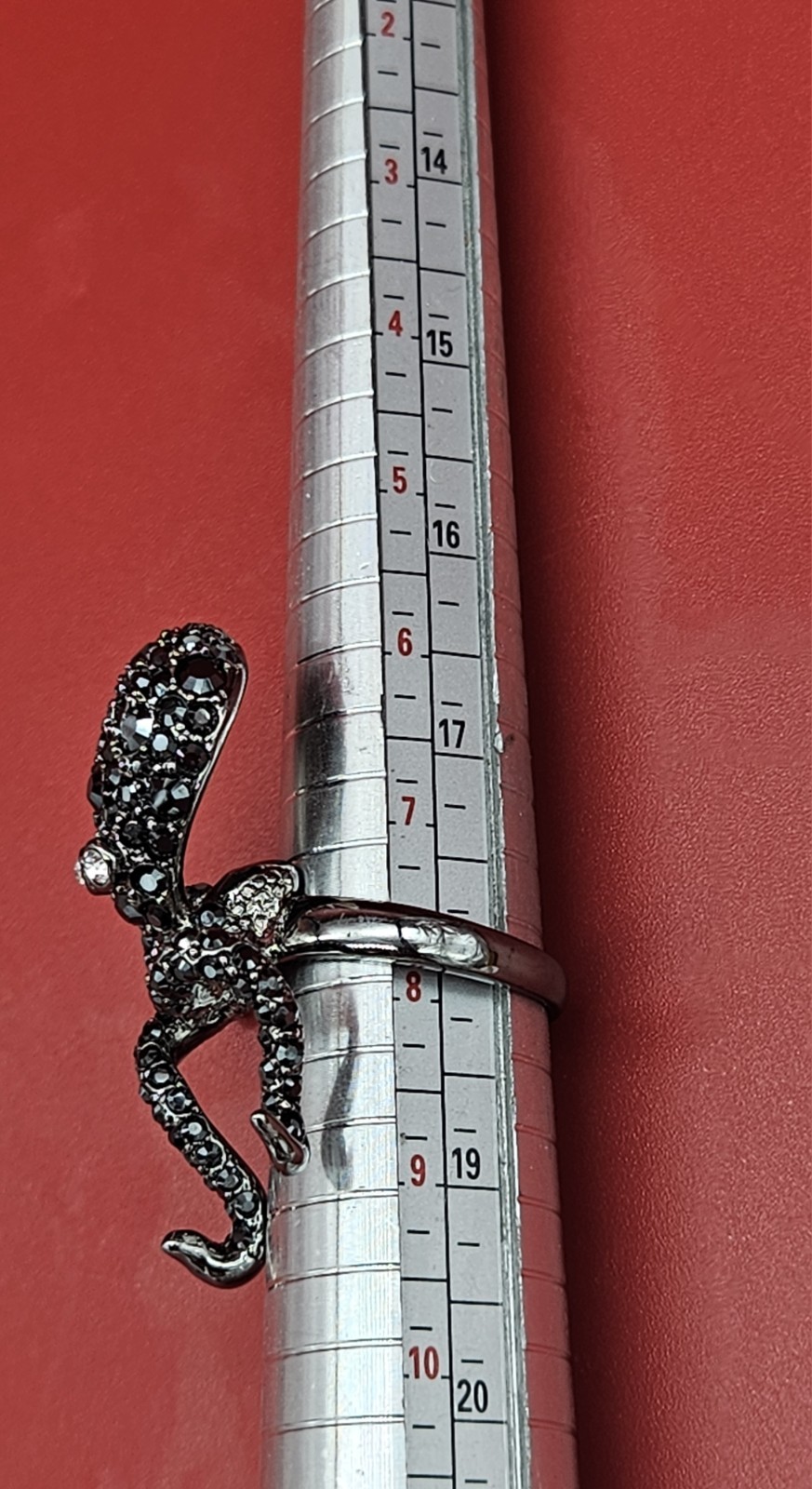 Picture 22 of 22