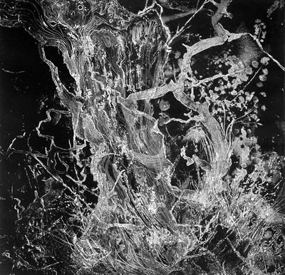 Bruit Monolith (Vinyl) 12'' Album (US IMPORT)