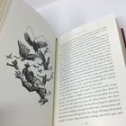 Foto 6 di 10