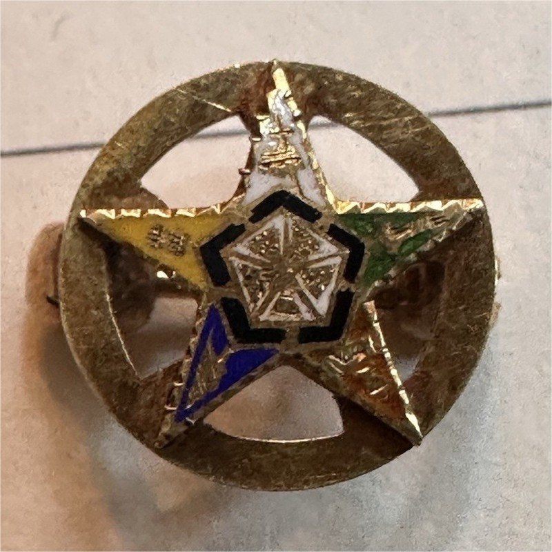 1900’s Order of the Eastern Star 14k Gold  Enamel Pin Badge Lapel Collectible