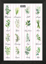 Watercolor Herb Chart | Herbs Colle Framed Wall Art Poster Canvas Print Picture