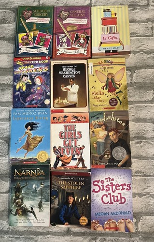12 Books Lot Chapter Books Elementary Boy Girl Teacher Classroom Library - Picture 2 of 9