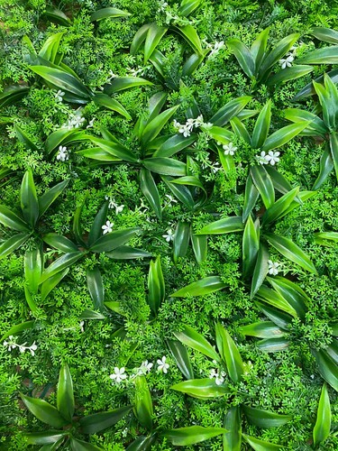 Plant Artificial Mat Greenery Wall Hedge Fence Foliage Panel Home wedding pannel - Picture 25 of 35