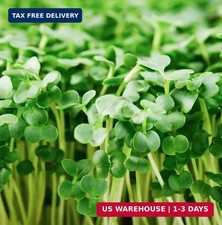 Organic Broccoli Seeds for Sprouting Microgreens - Heirloom, Non GMO Seed Packet