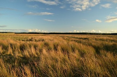 Foto 6x4 gescheiterter Versuch am ersten Punkt - Achnamoine, Caithness Spittal \ c2017