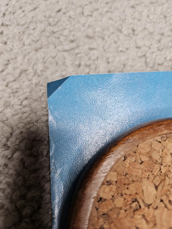 Póster de viaje vintage de los años 70 de PAN AM AIRWAYS AIRWAYS ALEMANIA 28x42 Foto 4 de 4