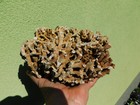 Bild 2 von 8