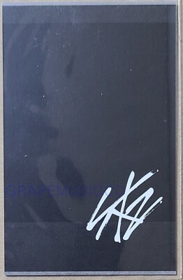 STRAY KIDS Unlock : GO LIVE IN LIFE CONCERT OFFICIAL EVENT