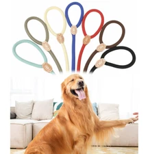 Dog Nylon and Leather Adjustable Loop Slip Rope  on Leash Lead Training Collar