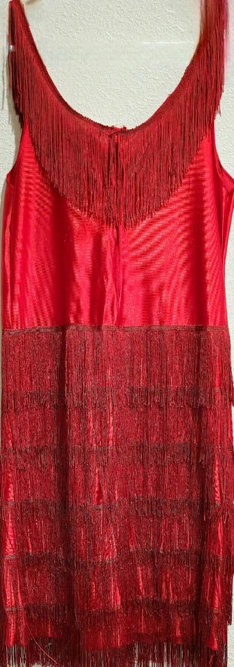 VESTIDO DE DISFRAZ TALLA SM-M ROJO CON FLECOS ALETA RUGIENTE AÑOS 20 con LENTEJUELAS DORADAS ~ NUEVO SIN ETIQUETAS/NUEVO Foto 3 de 4